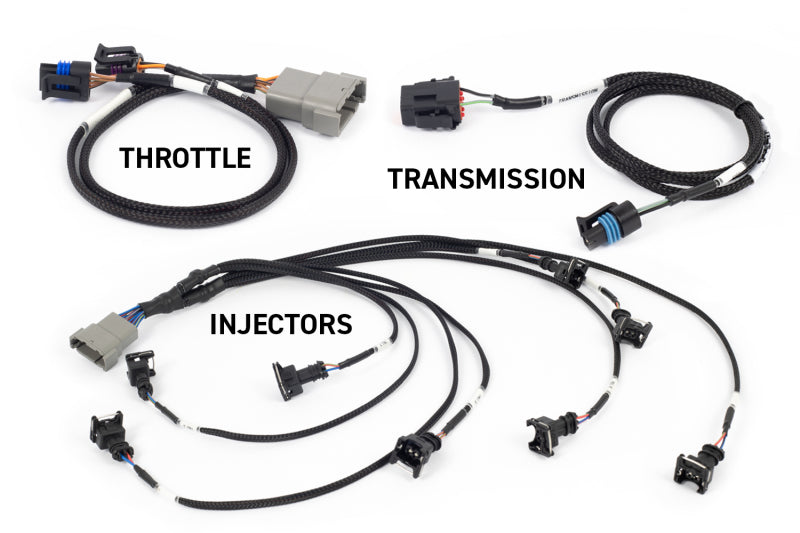 Haltech NEXUS Rebel LS Kit (Suits Gen III)