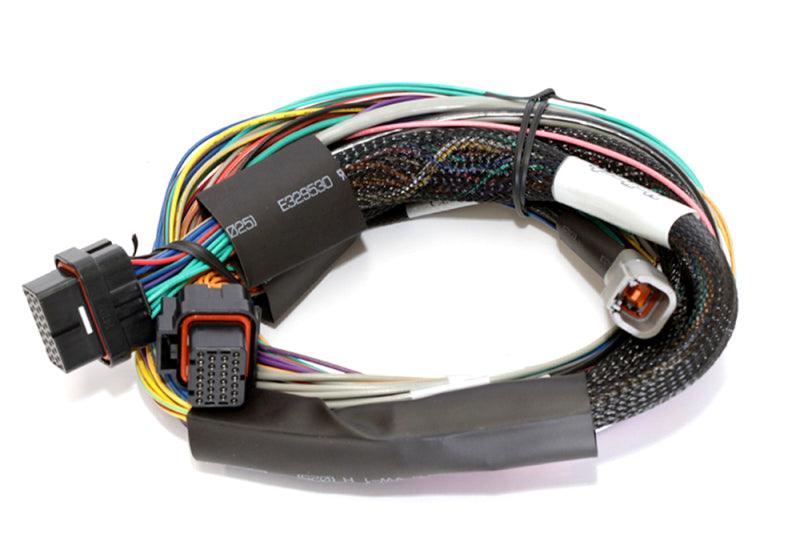 Haltech Elite 2500 Basic Universal Wire-In Harness ECU Kit - Attacking the Clock Racing